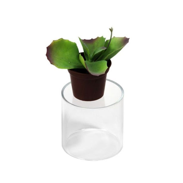 Acrylic Cylinder Riser - 4 H x 4 D Pack of 4pcs