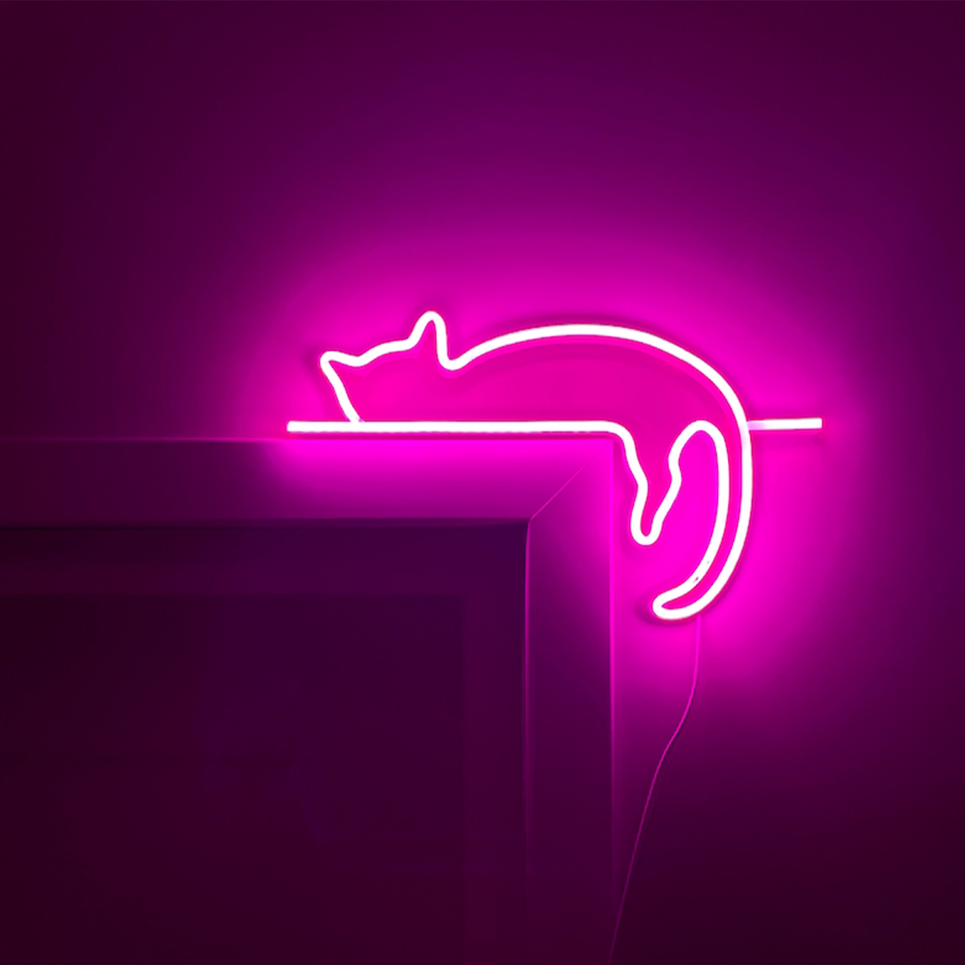 cat-neon-sign-art-decor-neon-light-wall-art-signs-cute-cat-decor-gift-led-neon-lights-cat-wall-custom-neon-decor-neon-custom-desk-light